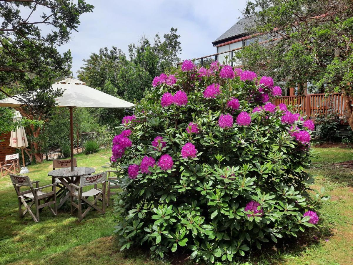 Hostel Torobayo บัลดิเบีย ภายนอก รูปภาพ